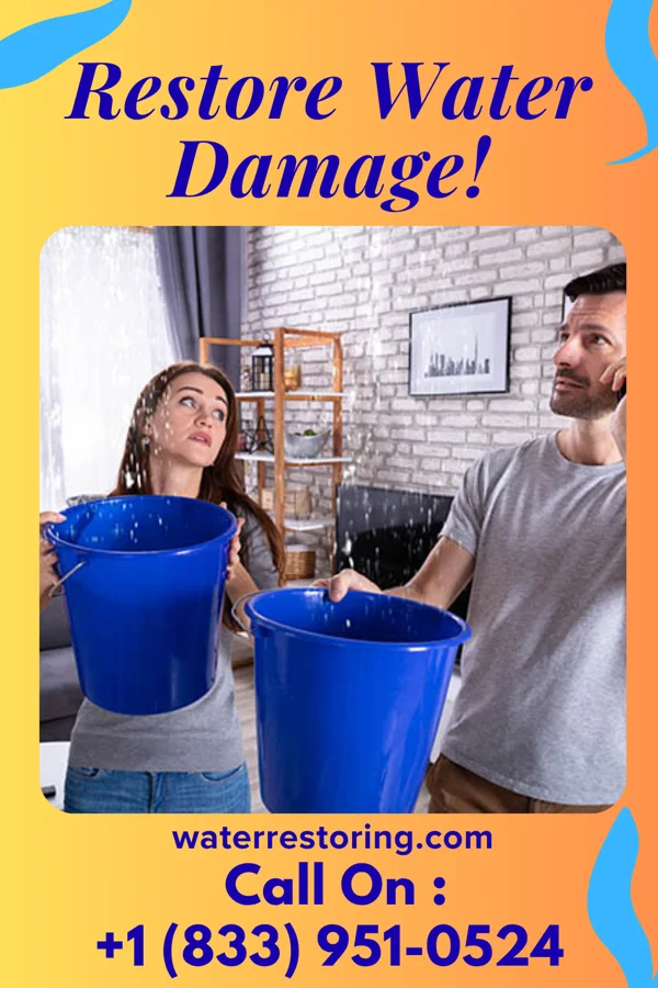 water restoration Empire Water Repair Co Porterdale
