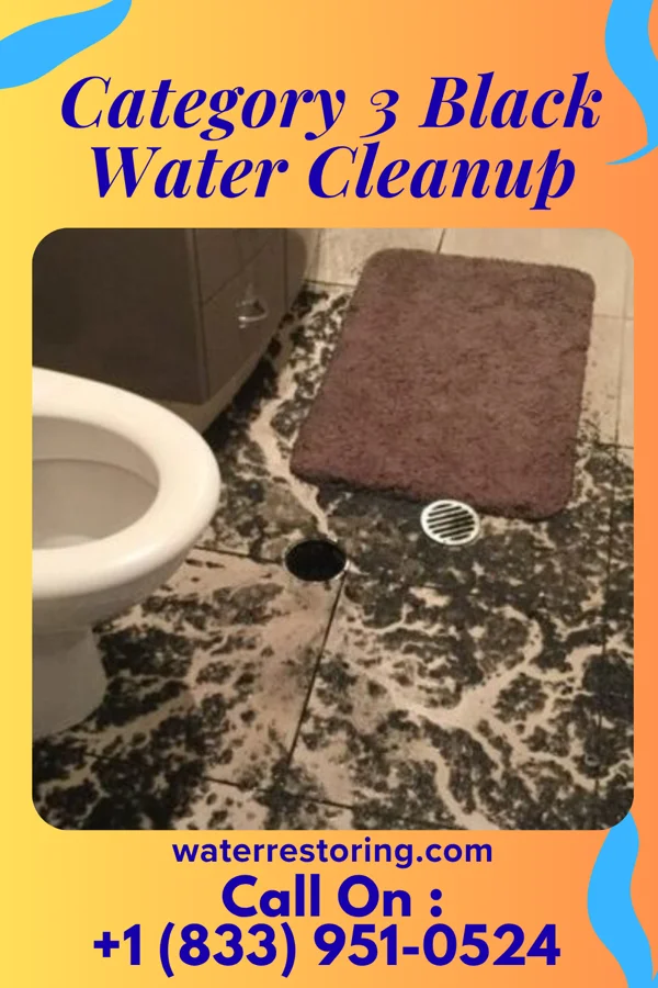 Category 3 Black Water Cleanup in Porterdale, GA