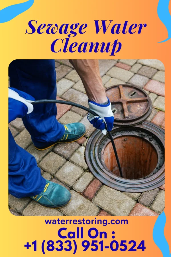Sewage Water Cleanup in Porterdale, GA